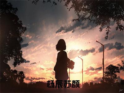 从零到首富，只需要做10个选择（ 杨辰苏颜）热门免费小说- 杨辰苏颜（从零到首富，只需要做10个选择）精彩小说全文赏析