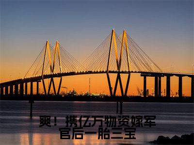 孟砚青陆霆骁(爽!携亿万物资嫁军官后一胎三宝)全文免费阅读无弹窗_爽!携亿万物资嫁军官后一胎三宝最新小说_笔趣阁