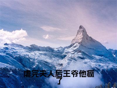 虐完夫人后王爷他疯了精彩小说赏析全文沈聿宋怜热门小说免费阅读