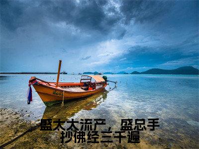 盛太太流产，盛总手抄佛经三千遍（盛连玦江挽）全文免费阅读无弹窗大结局_（盛连玦江挽）盛太太流产，盛总手抄佛经三千遍最新章节列表_笔趣阁