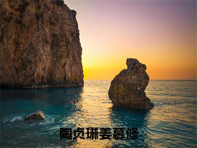 陶贞琳姜慕修（陶贞琳姜慕修）全文免费阅读无弹窗大结局_陶贞琳姜慕修小说全文无弹窗