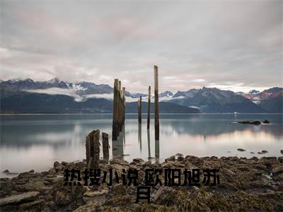  欧阳旭苏月免费小说（杀手重生，我的老爸是皇帝）全文无弹窗阅读 欧阳旭苏月大结局免费阅读无弹窗