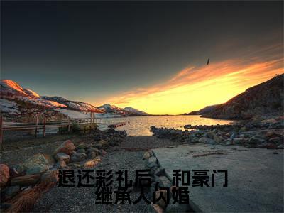 主人公叫(江亦舟陆知远)的小说(退还彩礼后,和豪门继承人闪婚)全文免费阅读最新章节列表_笔趣阁