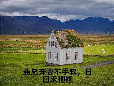 裴总宠妻不手软,日日求抱抱(裴诀林洛)全文免费阅读-小说裴总宠妻不手软,日日求抱抱大结