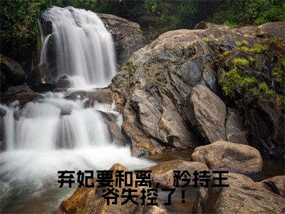 弃妃要和离,矜持王爷失控了!全文免费阅读无弹窗_(离渊花芊芊)全文在线阅读大结局