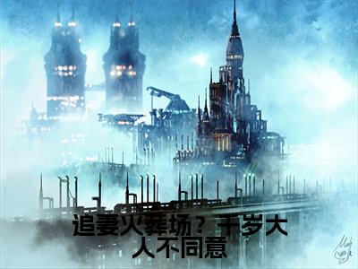 追妻火葬场？千岁大人不同意（ 叶晚棠燕白洲）完整版全文在线赏析-追妻火葬场？千岁大人不同意精彩美文摘抄