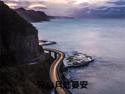 免费+全集宋心月陆晏安全文免费阅读无弹窗大结局_(宋心月陆晏安小说)陆晏安宋心月在线免费阅读