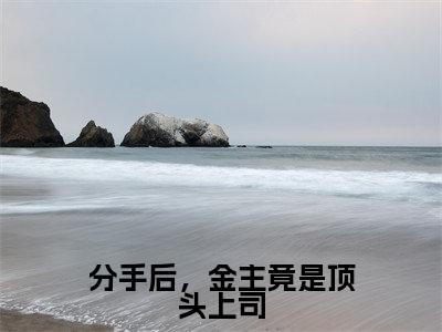 陆晏舟安星辰（分手后，金主竟是顶头上司）小说最后结局-（分手后，金主竟是顶头上司）完结版免费阅读