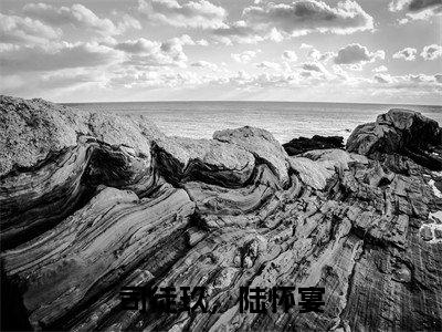 陆怀宴,司徒玖司徒玖,陆怀宴在线小说-司徒玖,陆怀宴全文无删减版阅读