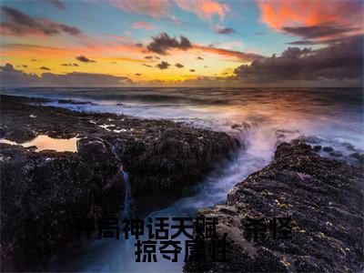 苏白（开局神话天赋，杀怪掠夺属性全文小说）全文免费阅读无弹窗大结局_开局神话天赋，杀怪掠夺属性全文免费阅读最新章节列表