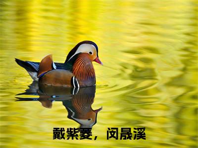 戴紫菱,闵晟溪全文免费阅读无弹窗-(闵晟溪,戴紫菱)戴紫菱,闵晟溪最新章节列表在线阅读