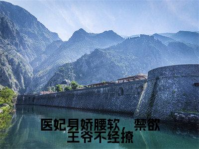 萧宴玄沈青黎小说完整版阅读-医妃身娇腰软,禁欲王爷不经撩小说全文无删减版