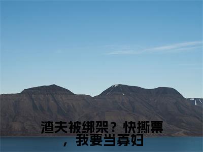渣夫被绑架？快撕票，我要当寡妇（沈绥宁江暮寒）在线阅读-渣夫被绑架？快撕票，我要当寡妇小说沈绥宁江暮寒完整版免费阅读