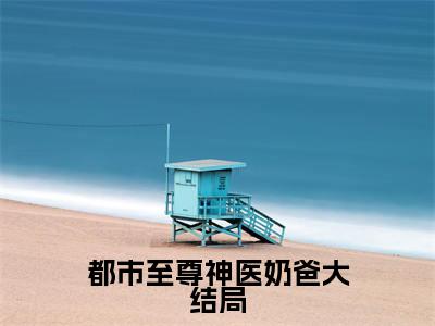 都市至尊神医奶爸 苏横琪琪完整版最新小说大结局，都市至尊神医奶爸免费完结版