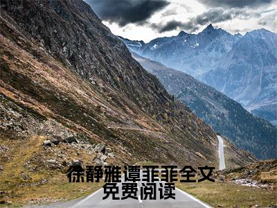 先婚后爱：靳先生请放手小说 徐静雅谭菲菲最新更新— 徐静雅谭菲菲小说美文赏析