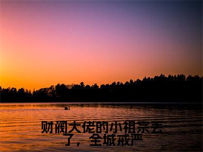 财阀大佬的小祖宗丢了,全城戒严全文免费阅读无弹窗大结局_财阀大佬的小祖宗丢了,全城戒严全文阅读_笔趣阁(陈星稚薄闻霄)