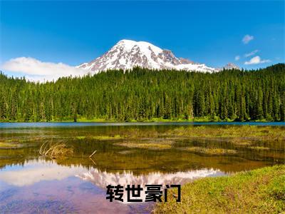 林贺(转世豪门)全文阅读完整版_转世豪门小说免费阅读大结局(林贺)
