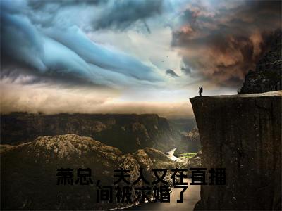 叶澜萧云霆小说萧总,夫人又在直播间被求婚了在哪里可以看-主角是叶澜萧云霆的小说萧总,夫人又在直播间被求婚了