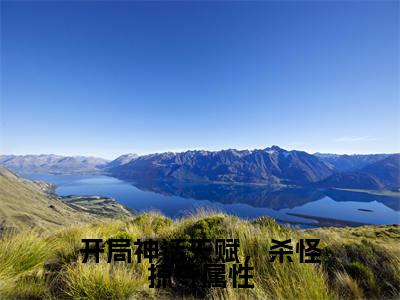 开局神话天赋,杀怪掠夺属性(苏白)小说精彩免费内容_开局神话天赋,杀怪掠夺属性(苏白)最新章节全文阅读大结局