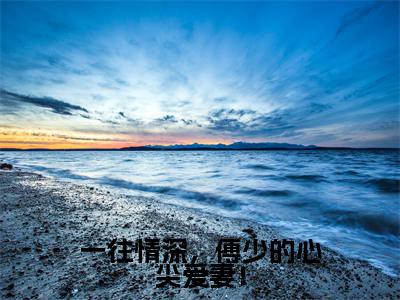一往情深，傅少的心尖爱妻！（慕微澜傅寒铮）小说全文免费阅读无弹窗-一往情深，傅少的心尖爱妻！全章节在线阅读