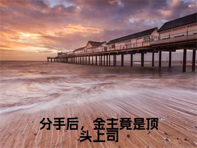 无广告小说分手后,金主竟是顶头上司全文免费阅读无弹窗大结局-安星辰陆晏舟川在线阅读