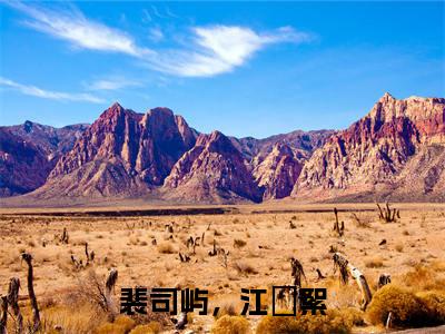 裴司屿，江枔絮江枔絮，裴司屿抖音新书热荐-小说裴司屿，江枔絮全文完整版免费阅读