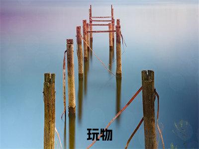 程暖贺丞最新章节(玩物)全文免费阅读无弹窗大结局_程暖贺丞免费阅读(玩物)
