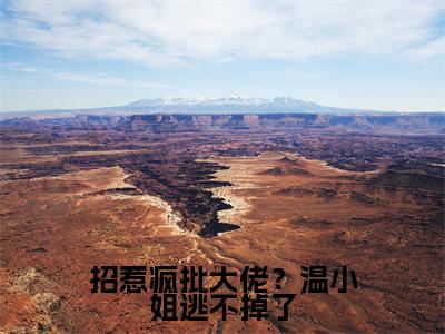 招惹疯批大佬?温小姐逃不掉了小说最新章节-温时悦陆燃全文免费阅读无弹窗大结局