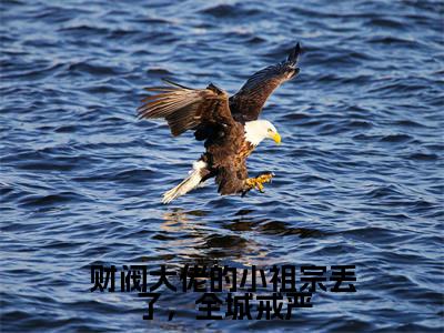 财阀大佬的小祖宗丢了，全城戒严小说（陈星稚薄闻霄）全文免费阅读无弹窗_财阀大佬的小祖宗丢了，全城戒严小说全文免费阅读）陈星稚薄闻霄最新章节列表笔趣阁