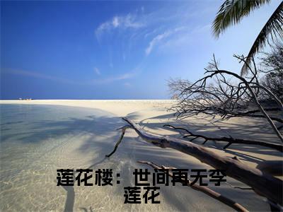 （李莲花番外+免费）莲花楼：世间再无李莲花小说主角叫什么-李莲花全文免费阅读大结局