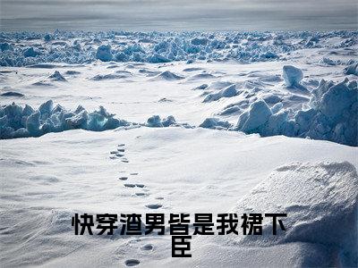 (快穿渣男皆是我裙下臣)苏挽月裴曌新书热荐免费小说-苏挽月裴曌小说全文完整版阅读