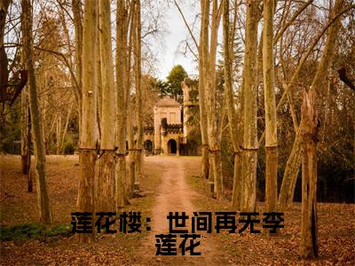 人气小说莲花楼:世间再无李莲花在线阅读-正版小说《莲花楼:世间再无李莲花》李莲花全文阅读