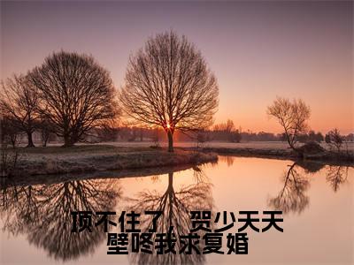 温晚贺澜琛小说（顶不住了，贺少天天壁咚我求复婚）免费阅读_温晚贺澜琛小说免费阅读-笔趣阁