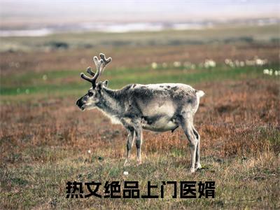 绝品上门医婿（ 陈鸣秦清）免费阅读_ 陈鸣秦清小说免费阅读-笔趣阁