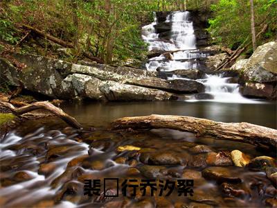 裴旻行乔汐絮（乔汐絮裴旻行）热门免费小说-乔汐絮裴旻行（裴旻行乔汐絮）精彩小说全文赏析