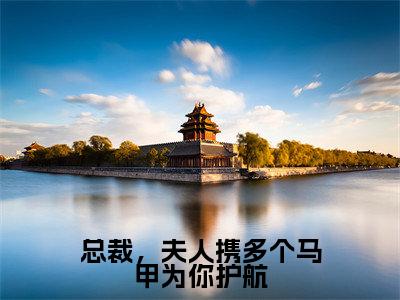 总裁,夫人携多个马甲为你护航(白苓傅琛)小说全文免费阅读无弹窗-总裁,夫人携多个马甲为你护航小说全文免费阅读最新章节列表笔趣阁(白苓傅琛)