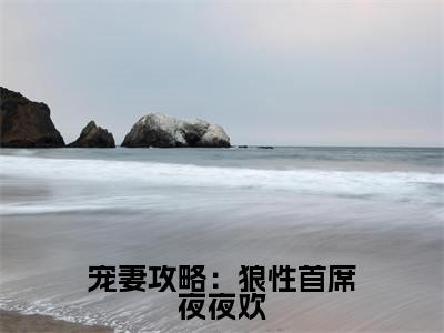 宠妻攻略：狼性首席夜夜欢满分热推小说- 顾梦白萧洛城宠妻攻略：狼性首席夜夜欢小说全本已完结