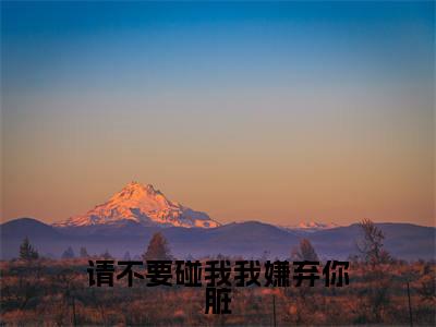 请不要碰我我嫌弃你脏小说(林雨泽李墨雪)全文免费阅读无弹窗_请不要碰我我嫌弃你脏小说全文免费阅读)林雨泽李墨雪最新章节列表笔趣阁