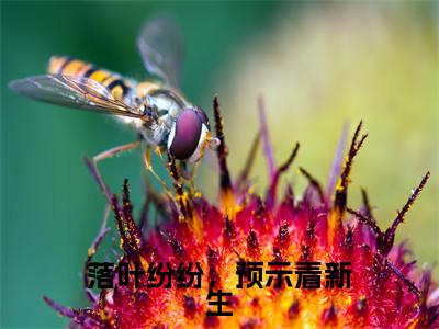 落叶纷纷,预示着新生小说全文免费阅读无弹窗大结局-谢昭宁祁晟免费阅读无弹窗