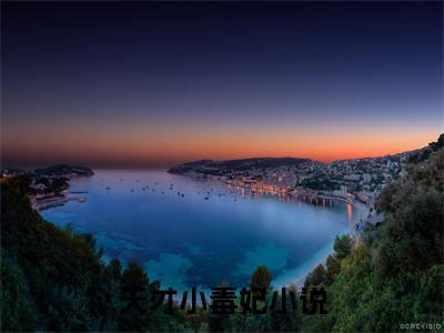 天才小毒妃（ 莫云昭宛青）全文免费阅读无弹窗_（ 莫云昭宛青的小说全文免费阅读）天才小毒妃小说最新章节列表无删减