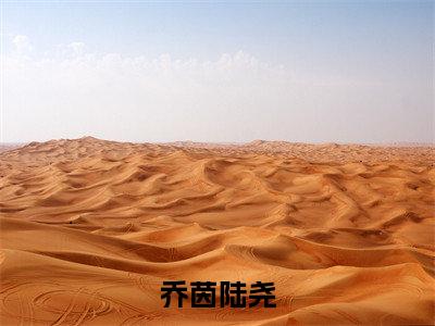 乔茵陆尧小说(乔茵陆尧)全文免费阅读无弹窗_乔茵陆尧高赞小说免费阅读笔趣阁(乔茵陆尧)