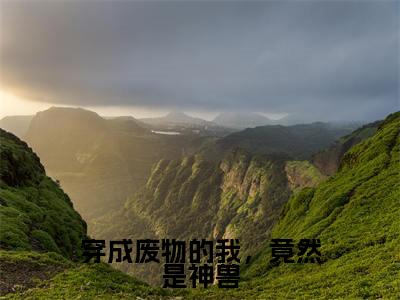 （穿成废物的我，竟然是神兽）全文免费阅读无弹窗（穿成废物的我，竟然是神兽）白呦呦已完结全集大结局