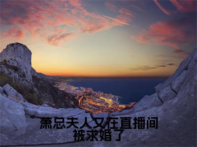 萧云霆叶澜全文免费阅读大结局-萧云霆叶澜最新章节免费阅读大结局