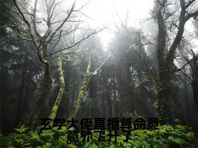 玄学大佬直播算命竟意外飞升了(晨希)全集免费阅读无弹窗_玄学大佬直播算命竟意外飞升了正版小说免费阅读