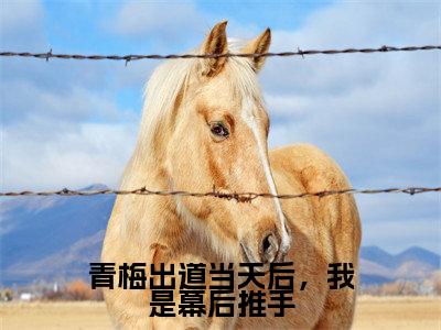 小说青梅出道当天后，我是幕后推手（夏河全文免费阅读）完结阅读_夏河全文免费阅读免费看全文