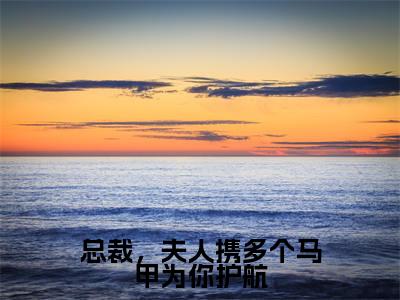 总裁,夫人携多个马甲为你护航(白苓傅琛)小说全文免费阅读无弹窗-总裁,夫人携多个马甲为你护航全章节在线阅读(白苓傅琛免费+后续)