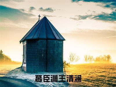 慕臣渊王清澜最新热门小说-(王清澜慕臣渊)最新章节免费阅读