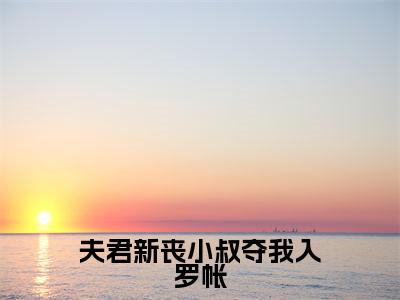 小说夫君新丧小叔夺我入罗帐全文免费阅读无弹窗_(江琯清叶寒峥完结)夫君新丧小叔夺我入罗帐小说免费阅读无弹窗最新章节列表