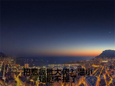 招惹疯批大佬？温小姐逃不掉了（温时悦陆燃）全文免费阅读无弹窗大结局_（招惹疯批大佬？温小姐逃不掉了）最新章节列表_温时悦陆燃