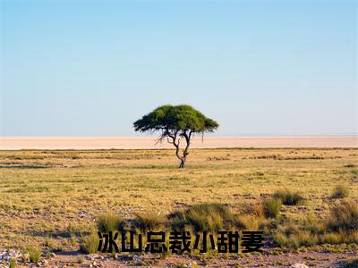 人气小说冰山总裁小甜妻在线阅读-正版小说《冰山总裁小甜妻》陆文野杜翎沁全文阅读